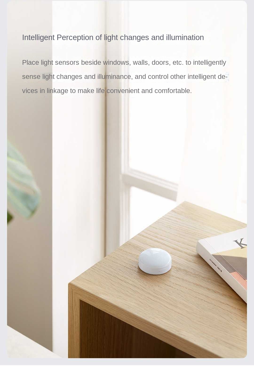 Aqara sensor cahaya T1 Zigbee  - Smart Garden Xiaomi ulasan dan harga