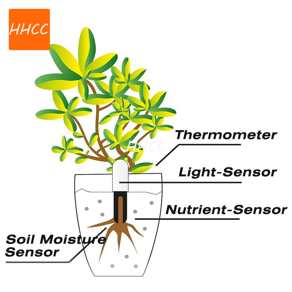 HHCC Perawatan Bunga Max Monit - Smart Garden Xiaomi ulasan dan harga