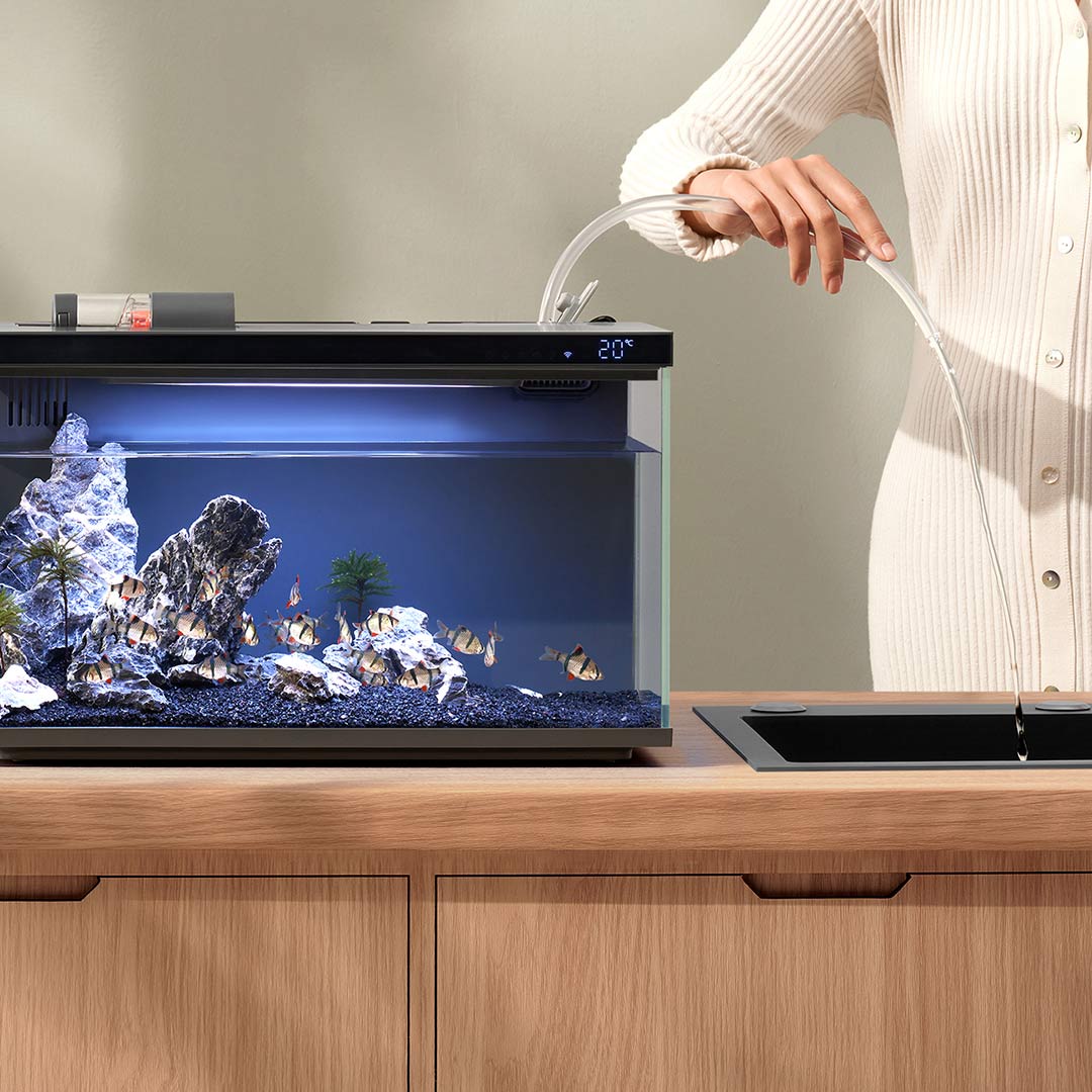 Xiaomi Mijia tangki ikan cerda - Smart Garden Xiaomi ulasan dan harga